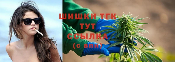 стаф Верея