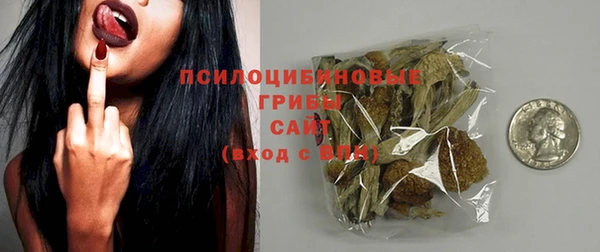 стаф Верея