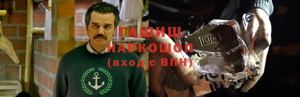 молекула духа Богородицк