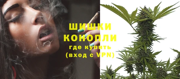 стаф Верея