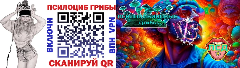 kraken Голицыно Псилоцибиновые грибы Cubensis закладка